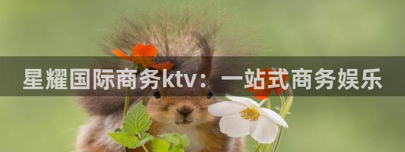 pg蓝图娱乐平台下载入口：星耀国际商务ktv：一站式商务娱乐