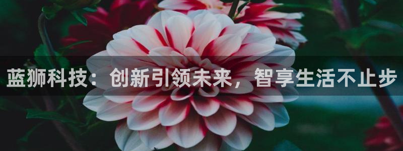 蓝图娱乐免费注册：蓝狮科技：创新引领未来，智享生活不止步