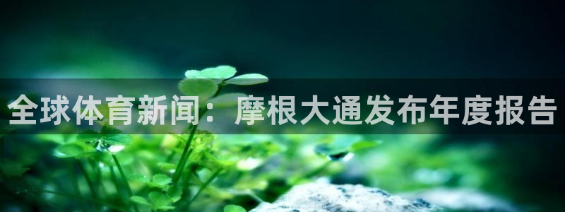 蓝图娱乐是什么：全球体育新闻：摩根大通发布年度报告