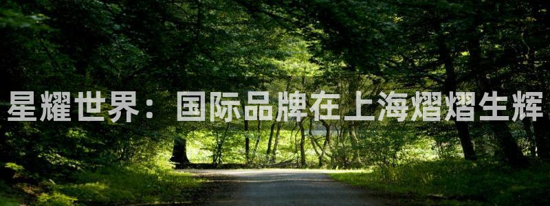 蓝图娱乐体育和杏耀是哪个公司的：星耀世界：国际品牌在上海熠熠生辉