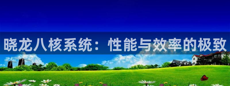 蓝图娱乐app最新版：晓龙八核系统：性能与效率的极致