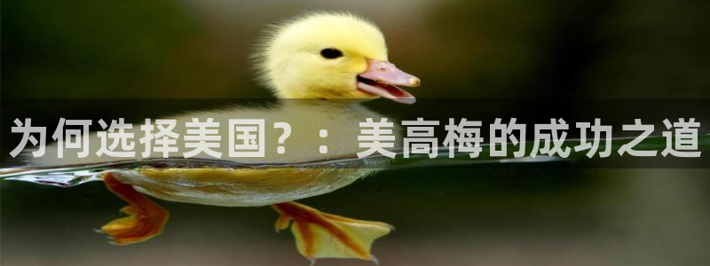 蓝图娱乐集团官网：为何选择美国？：美高梅的成功之道