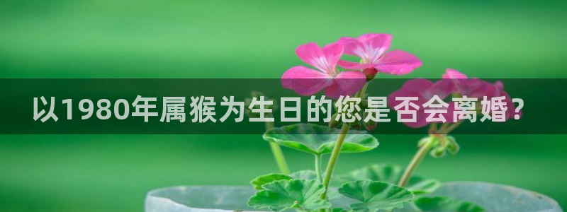 蓝图娱乐3官网：以1980年属猴为生日的您是否会离婚？