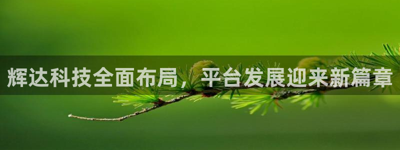 福建蓝图娱乐机电股份公司：辉达科技全面布局，平台发展迎来新篇章