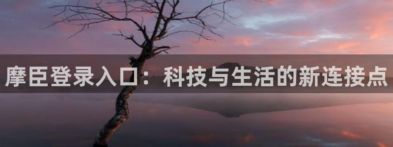 蓝图娱乐4：摩臣登录入口：科技与生活的新连接点