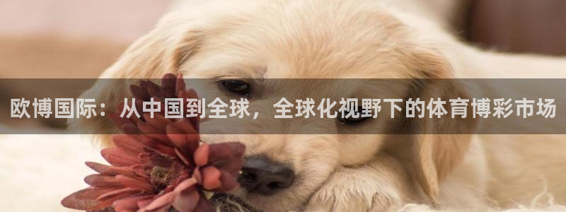 蓝图娱乐体育官网：欧博国际：从中国到全球，全球化视野下的体育博彩市场