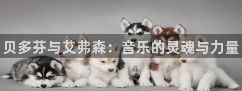 蓝图娱乐零能源集团：贝多芬与艾弗森：音乐的灵魂与力量