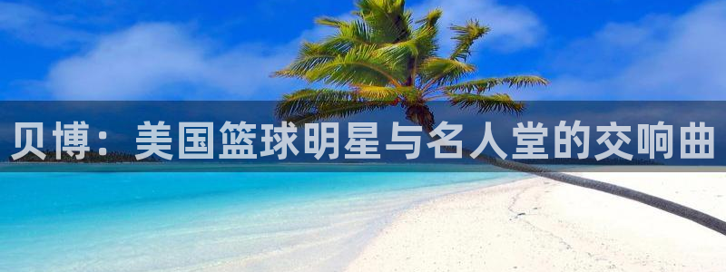 蓝图娱乐体育凯捷登陆：贝博：美国篮球明星与名人堂的交响曲