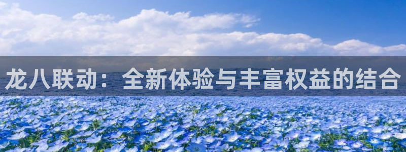 蓝图娱乐下载二维码：龙八联动：全新体验与丰富权益的结合