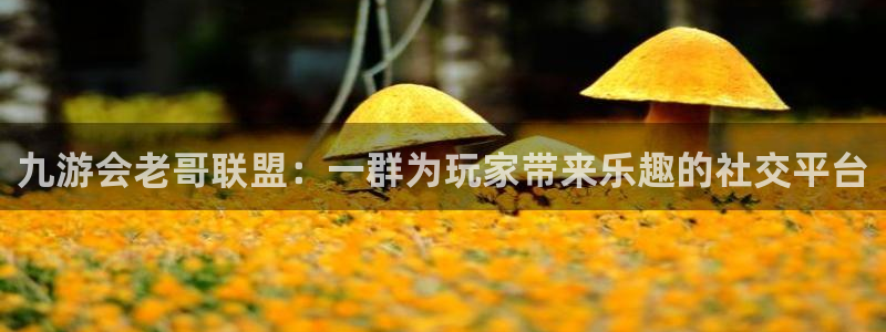 蓝图娱乐3代理：九游会老哥联盟：一群为玩家带来乐趣的社交平台