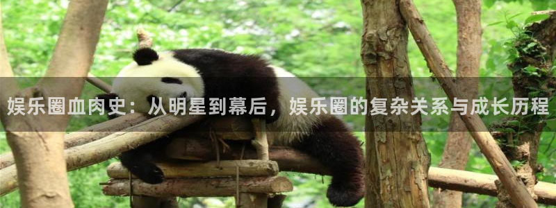 蓝图娱乐平台官网入口：娱乐圈血肉史：从明星到幕后，娱乐圈的复杂关系与成长历程