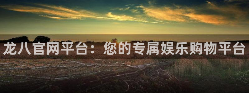 蓝图娱乐是赌博吗：龙八官网平台：您的专属娱乐购物平台