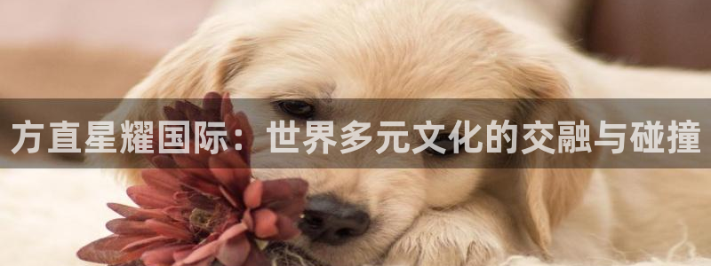 蓝图娱乐注册平台：方直星耀国际：世界多元文化的交融与碰撞