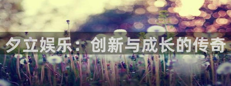 蓝图娱乐网站平台：夕立娱乐：创新与成长的传奇