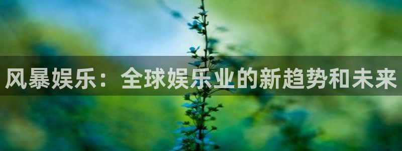蓝图娱乐集团官网：风暴娱乐：全球娱乐业的新趋势和未来