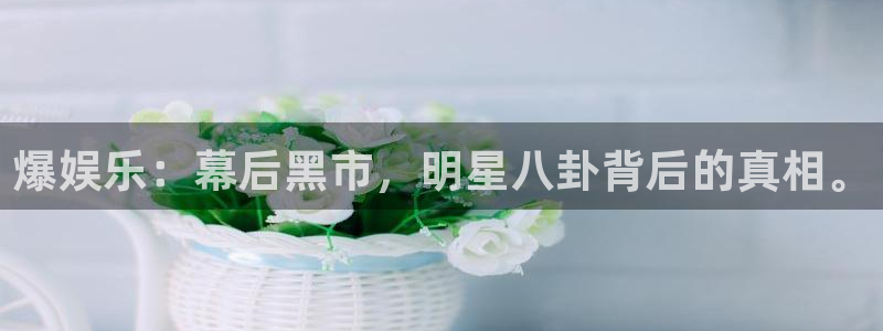 蓝图娱乐能源：爆娱乐：幕后黑市，明星八卦背后的真相。
