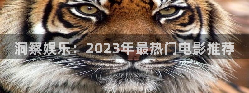 蓝图娱乐注册登录入口：洞察娱乐：2023年最热门电影推荐