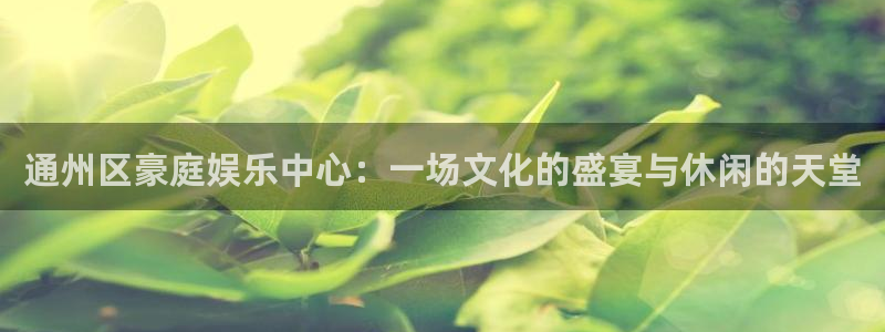 蓝图娱乐体育注册：通州区豪庭娱乐中心：一场文化的盛宴与休闲的天堂