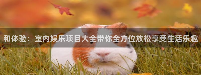 蓝图娱乐体育2：和体验：室内娱乐项目大全带你全方位放松享受生活乐趣