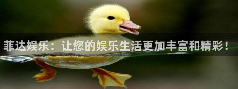电子游戏蓝图娱乐：菲达娱乐：让您的娱乐生活更加丰富和精彩！