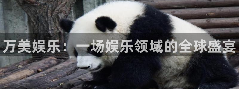 蓝图娱乐体育eon：万美娱乐：一场娱乐领域的全球盛宴