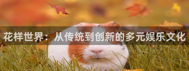 蓝图娱乐4开户：花样世界：从传统到创新的多元娱乐文化
