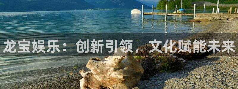 蓝图娱乐体育平台注册：龙宝娱乐：创新引领，文化赋能未来