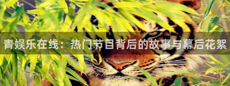 蓝图娱乐游戏：青娱乐在线：热门节目背后的故事与幕后花絮
