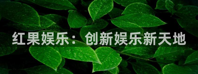 蓝图娱乐.ccm：红果娱乐：创新娱乐新天地