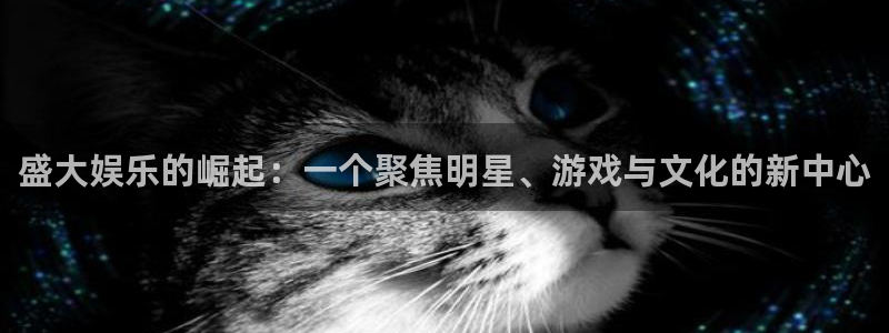 蓝图娱乐注册网站：盛大娱乐的崛起：一个聚焦明星、游戏与文化的新中心