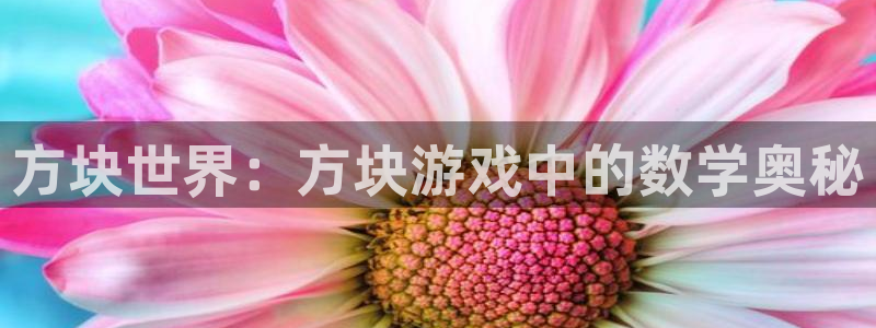 蓝图娱乐集团官网：方块世界：方块游戏中的数学奥秘