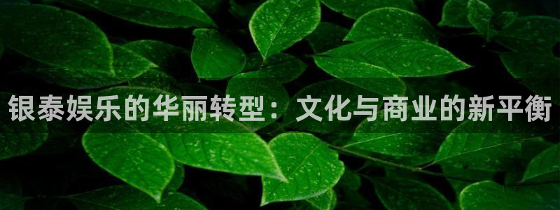 蓝图娱乐2平台登录：银泰娱乐的华丽转型：文化与商业的新平衡