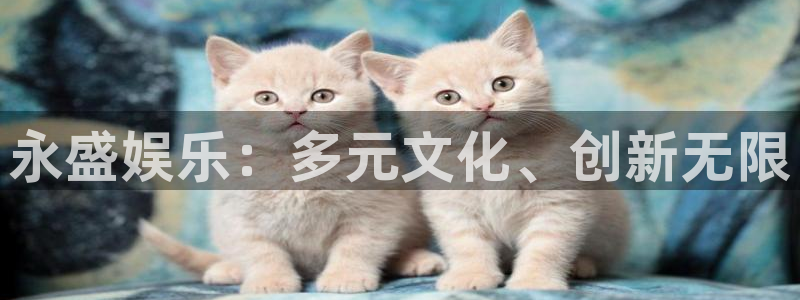 蓝图娱乐.ccm官网版：永盛娱乐：多元文化、创新无限