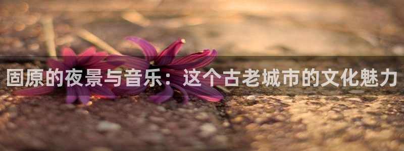 蓝图娱乐体育凯捷平台主管：固原的夜景与音乐：这个古老城市的文化魅力