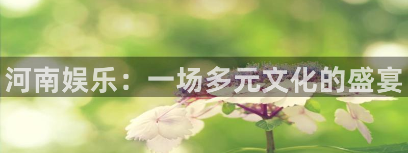 蓝图娱乐平台链接：河南娱乐：一场多元文化的盛宴