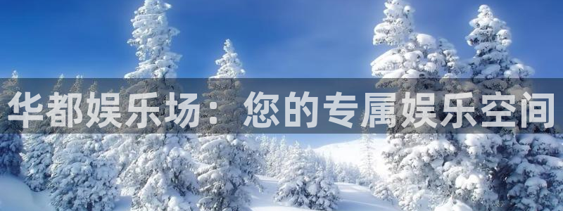 成都蓝图娱乐电子有限公司：华都娱乐场：您的专属娱乐空间