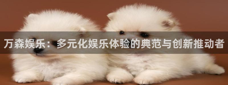 蓝图娱乐官网版：万森娱乐：多元化娱乐体验的典范与创新推动者