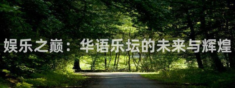 蓝图娱乐包怎么样：娱乐之巅：华语乐坛的未来与辉煌