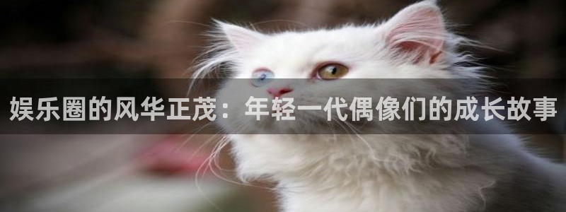 蓝图娱乐体育2官网入口：娱乐圈的风华正茂：年轻一代偶像们的成长故事