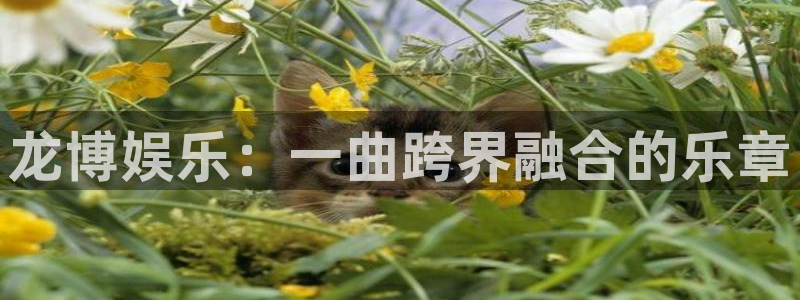 蓝图娱乐平台官网版最新：龙博娱乐：一曲跨界融合的乐章