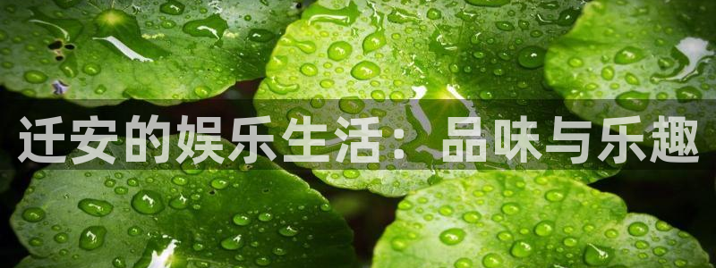 蓝图娱乐5：迁安的娱乐生活：品味与乐趣