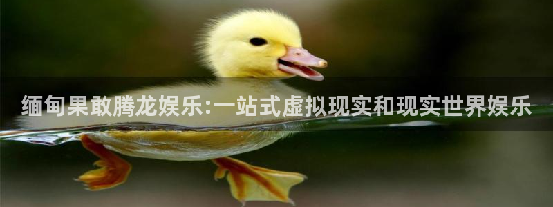 蓝图娱乐电子娱乐官网下载：缅甸果敢腾龙娱乐:一站式虚拟现实和现实世界娱乐