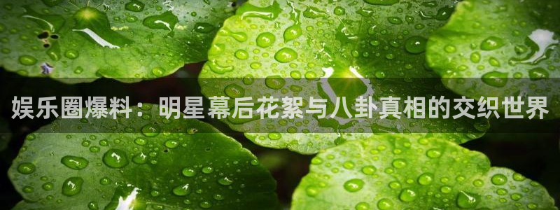 蓝图娱乐放水时间：娱乐圈爆料：明星幕后花絮与八卦真相的交织世界
