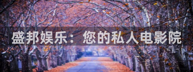 蓝图娱乐电玩网官网入口：盛邦娱乐：您的私人电影院