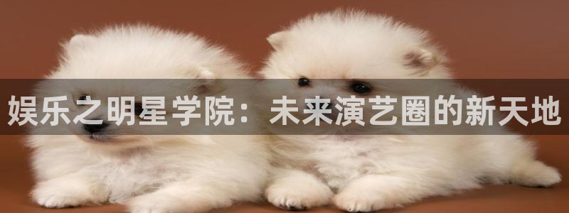 蓝图娱乐登录注册：娱乐之明星学院：未来演艺圈的新天地